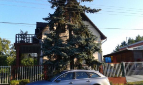 Гостиница Tőserdő  Lakitelek